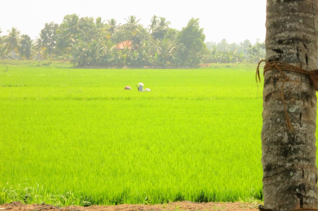 Marari Secret Beach Yoga Homestay Mararikulam Exterior foto