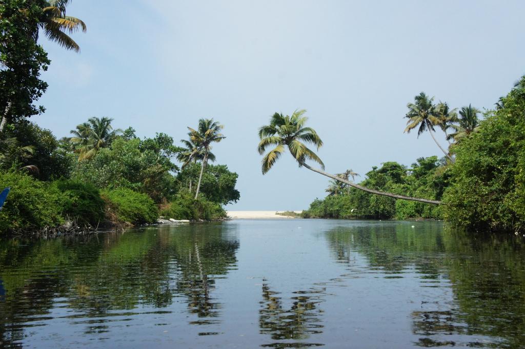 Marari Secret Beach Yoga Homestay Mararikulam Exterior foto
